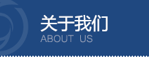 第一課,新政策